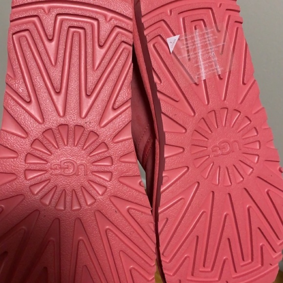 Size 12 Uggs . main image 6